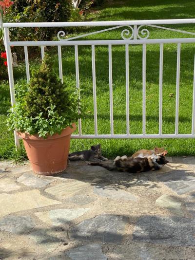 Hotel Coral Roda Korfu