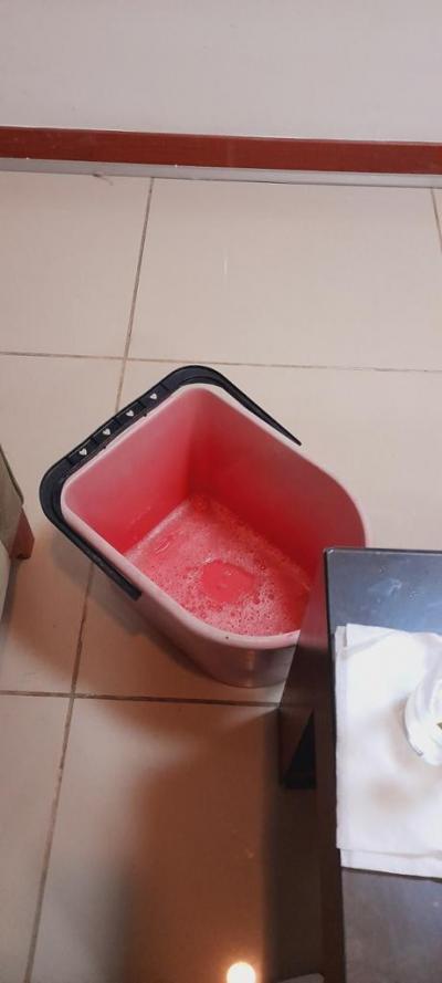 Artemis princess hotel