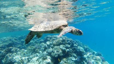 Velká spokojenost  s hotelem i personálem