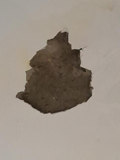 Rozhodně nedoporučuji 