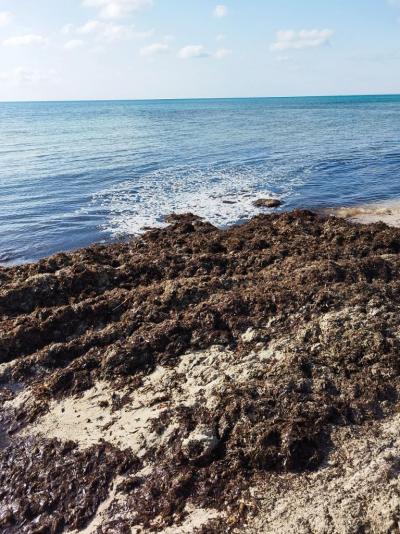 Příšerné NEDOPORUČUJI!!!