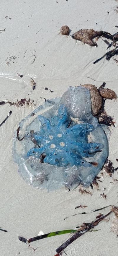 Stále hezké i když pár let je znát... 