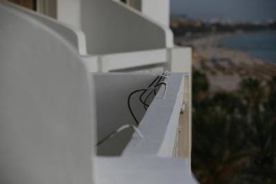 Riadh Palms a *** NIKDY!