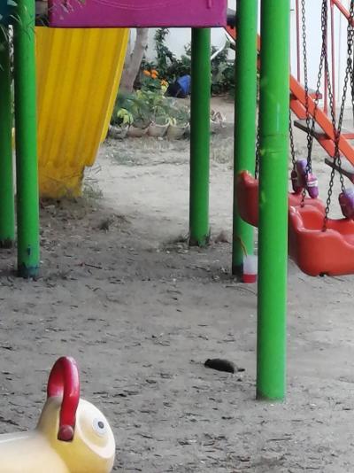 Nikdy více!!!! Nedoporučuji!!! 