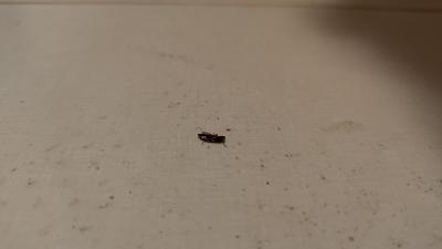 Příjemný hotel s ochotným personálem