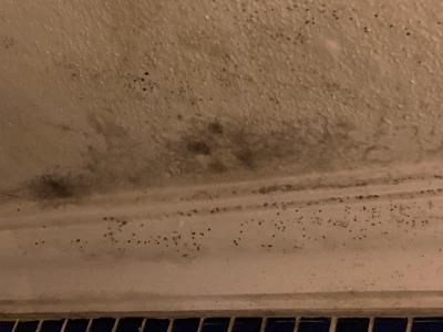 Hotel YELKEN v Turgutreis nedoporučuji !