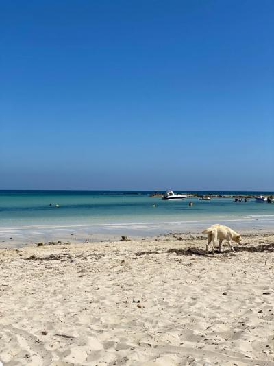 Hrůza , špína, neochota