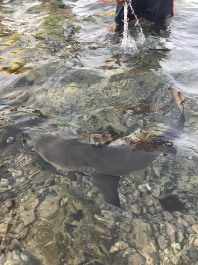 Parádní dovolená s CK ***- odpočinková i akční