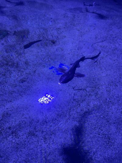 Super cena výkon srpen 2022 a srpen 2023