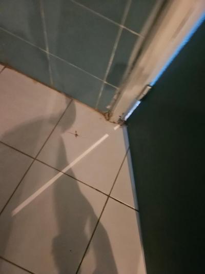 Hotel Jinene  katastrofa 