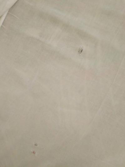 Alena - pobyt od 24.8. do 27. 8. - poprvé a naposled