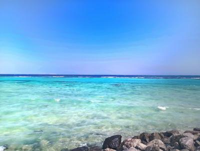 Už nikdy více - KATASTROFA