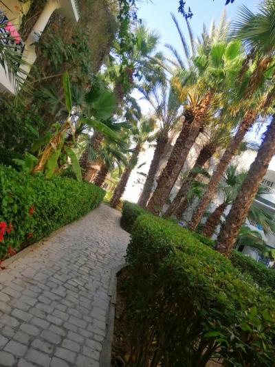 Nejhorší dovolená za 20 let co létám do TUNISU !!!NEDOPORUČUJI!! 25.8.-1.9.23