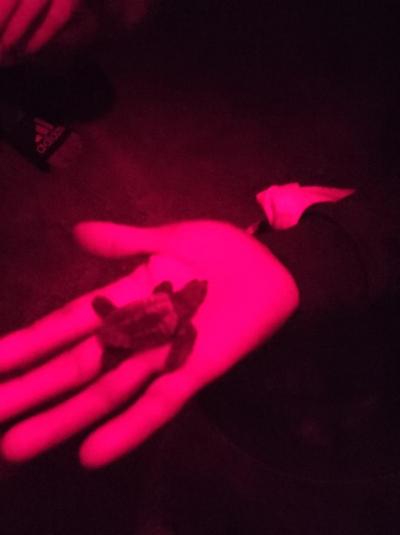 Murdeira nejsou Vrahovice.