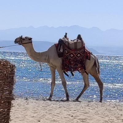 Celkově pěkná dovolená 