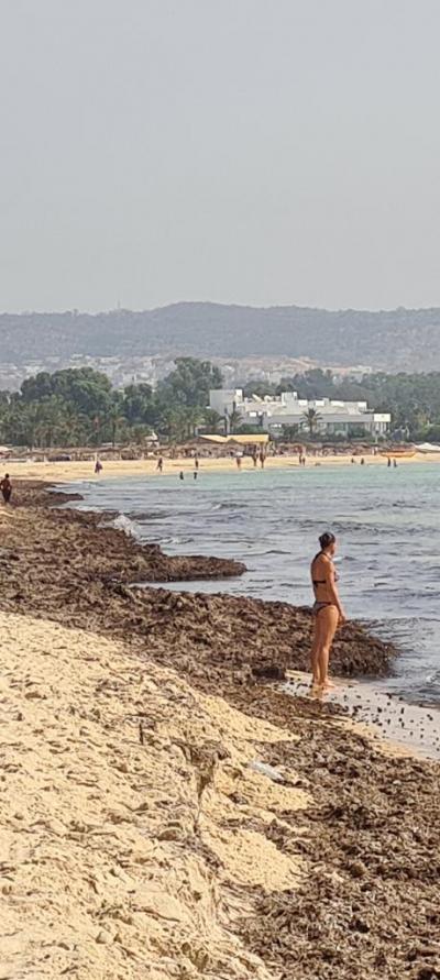 Bohužel velké zklamani