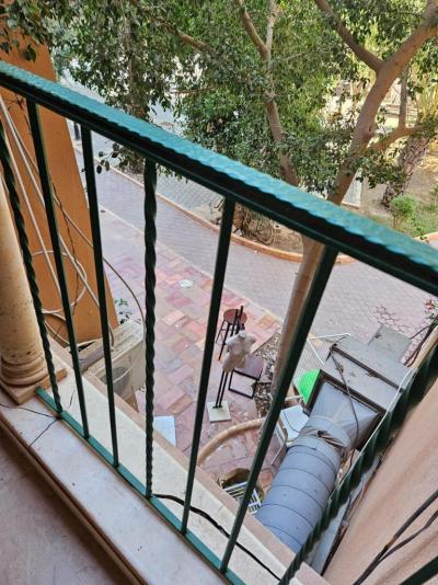 Dovolená katastrofa