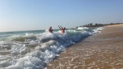 Royal Horizon Baobab