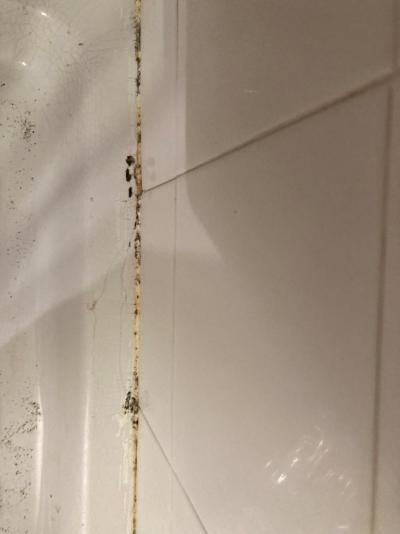 Celkové hodnocení dovolené