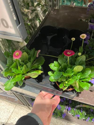 Three Corners Equinox Beach Resort - prohlídka hotelu 