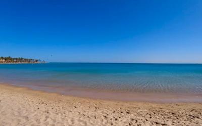 Palm Royale Resort Soma Bay (ex Sentido) ***** (Egypt - Hurghada - Soma Bay)