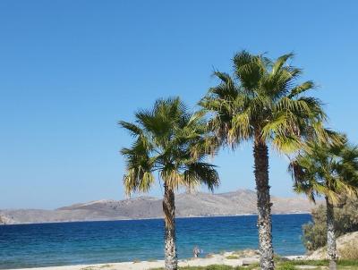 Dovolená velmi vydařená