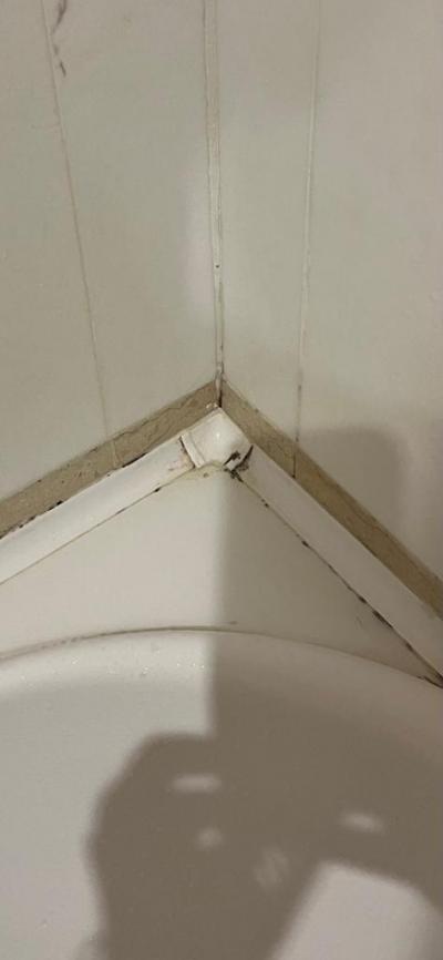 Pozor na pokoje !!špína, plíseň , 