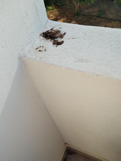 Pobyt 28.7. - 8.8.2024