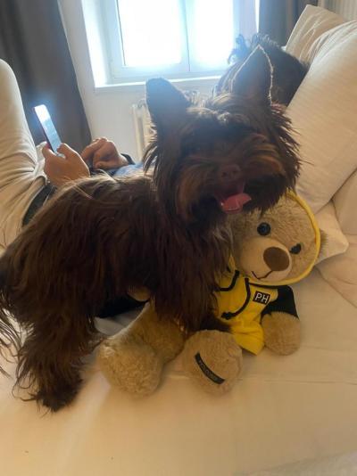 ÚŽASNÝ HOTEL, SKVĚLÝ SERVIS A DOBRÉ JÍDLO!  