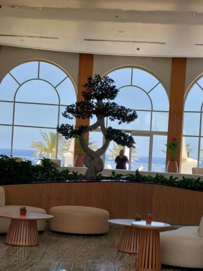 Prohlidka hotelu Cleopatra Luxury Resort