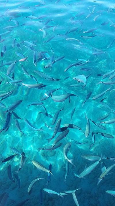 Moc pěkná dovolená 