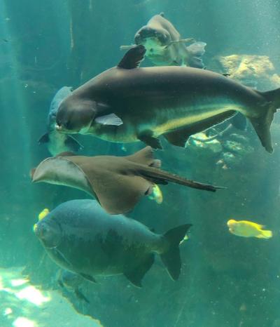 Příjemná dovolená 