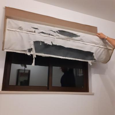 Dovolená za všechny prachy 