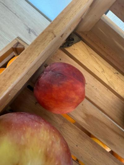 Hotel Belvedere, Korfu – katastrofa, kterou už nikdy nechci zažít