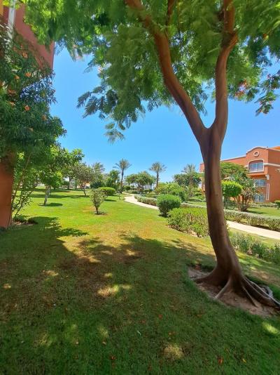 Doporučuji Caribbean