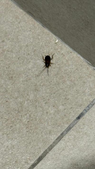 Pobyt v hotelu Riu Karamboa  Boa Vista