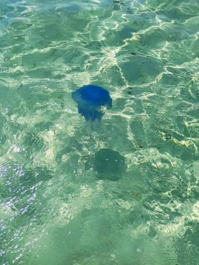 Hotel El borj Mahdia