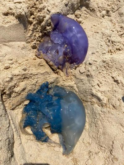 Recenze na hotel Sallambo