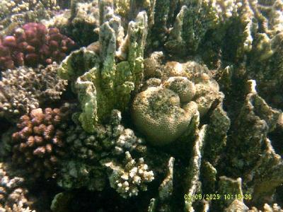 Letos jako minulý rok spokojenost