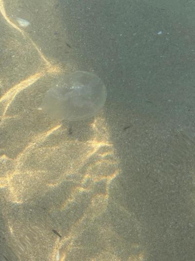 Holiday Duni Royal Resort