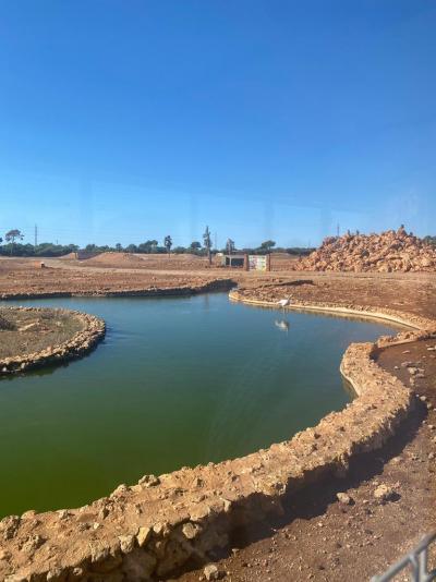 Rodinná dovolená v Sa Coma v hotelu Hipotels Mediterraneo Club