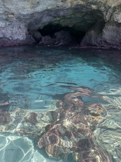 Dovolená s ročním synem