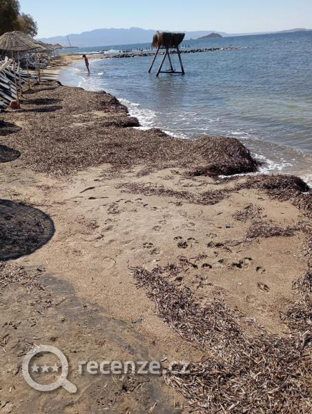 Údajná pláž mi