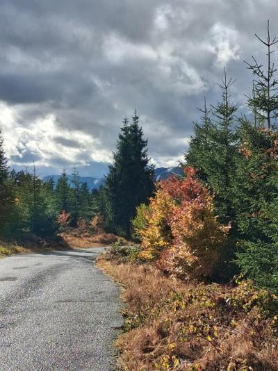 Úžasný penzion-hotel-s úžasnými lidmi:-)))