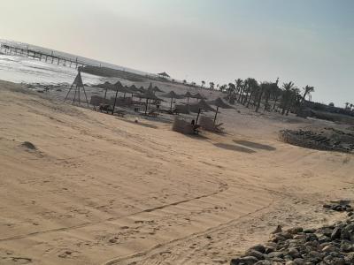 Wir sind bald wieder in Coral Hills.