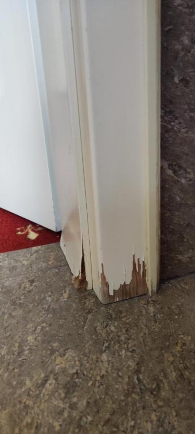 Nevím co bylo horší ...