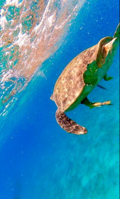 schönes Hotel in Ägypten