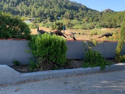Recenze hotelu White Dreams Resort